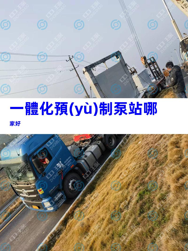 一體化預(yù)制泵站哪家好