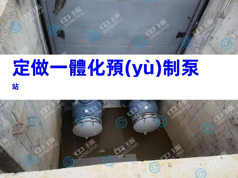 定做一體化預(yù)制泵站