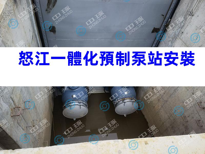 怒江一體化預制泵站安裝