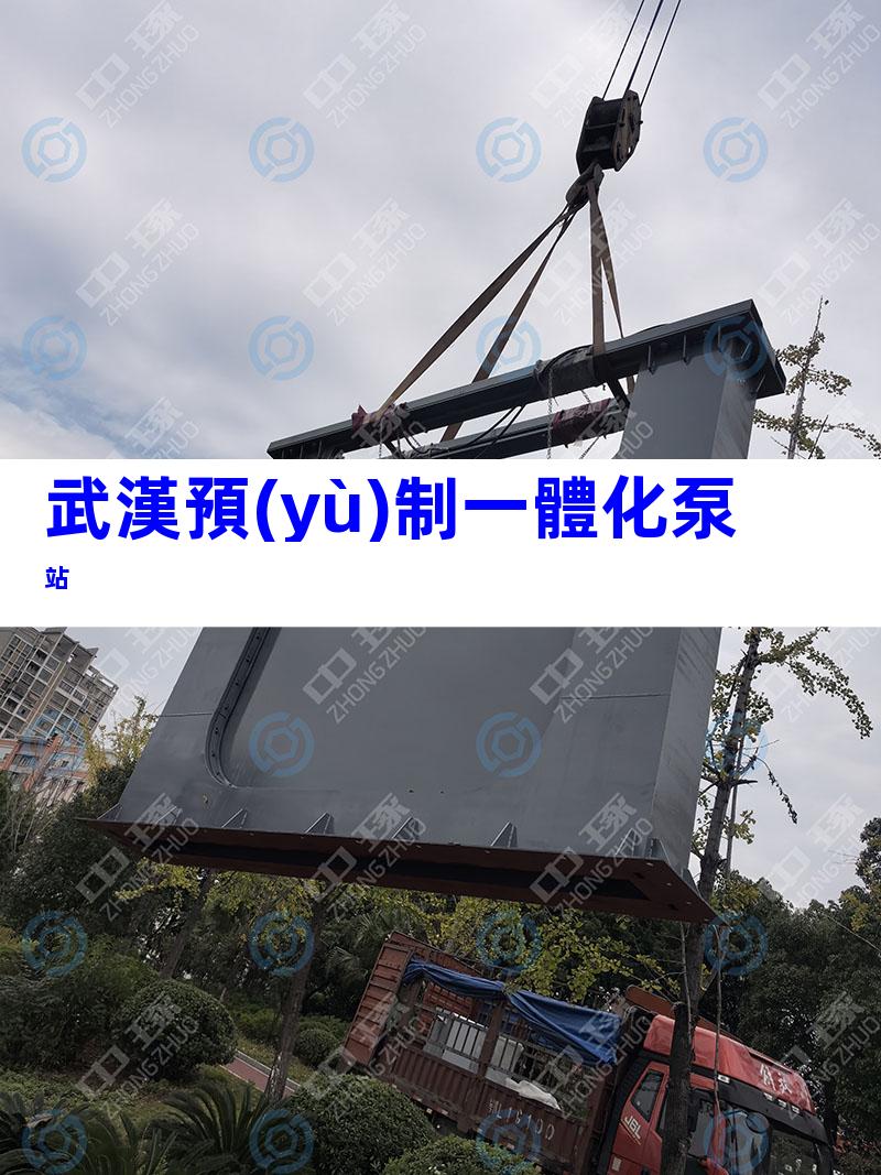 武漢預(yù)制一體化泵站
