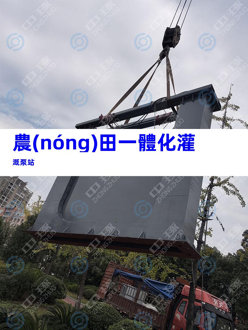 農(nóng)田一體化灌溉泵站
