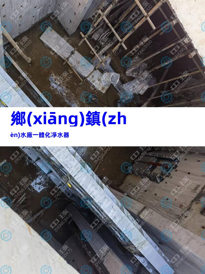 鄉(xiāng)鎮(zhèn)水廠一體化凈水器